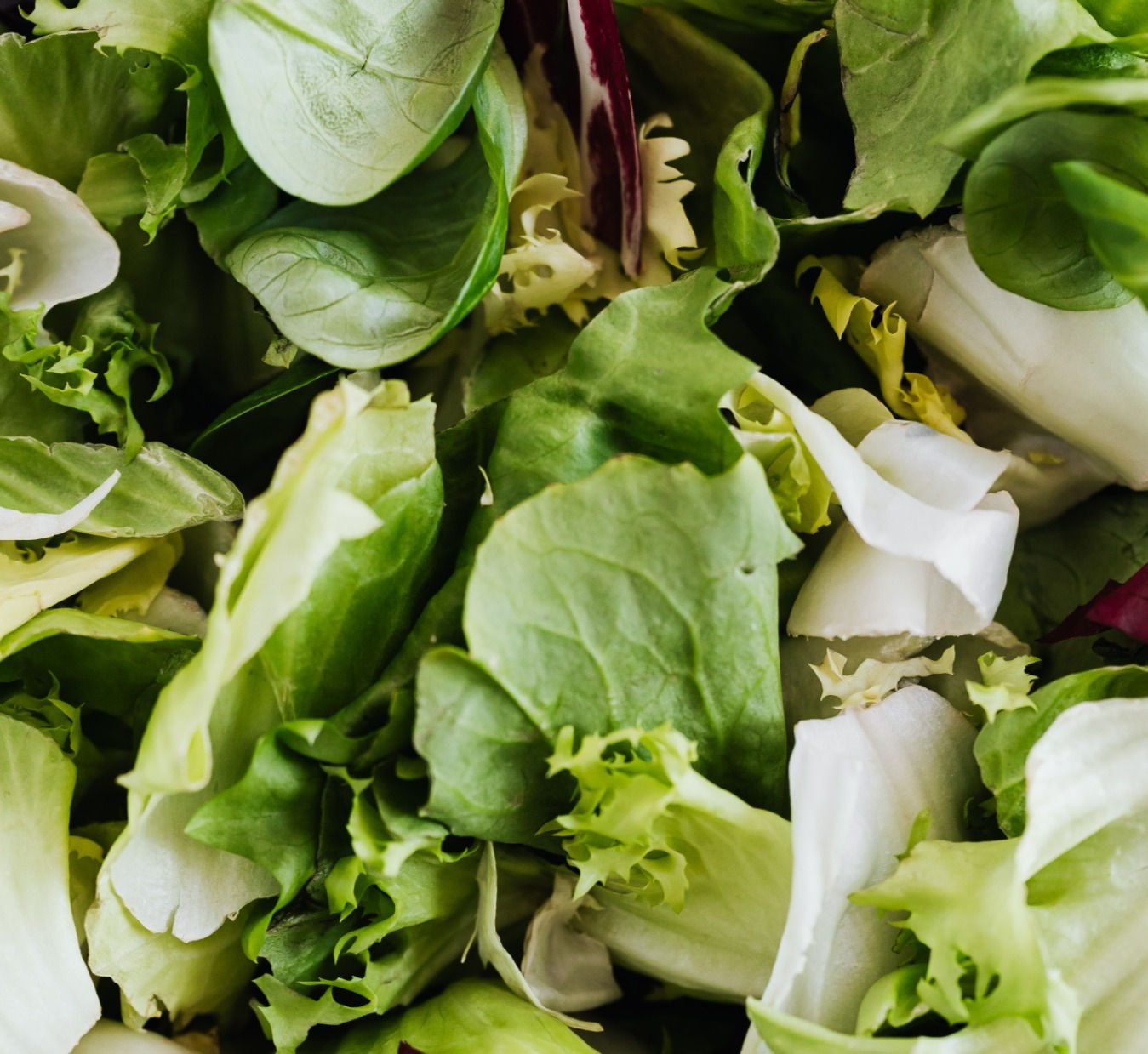 Mesclun de saison / Slamengeling in het seizoen (150g)