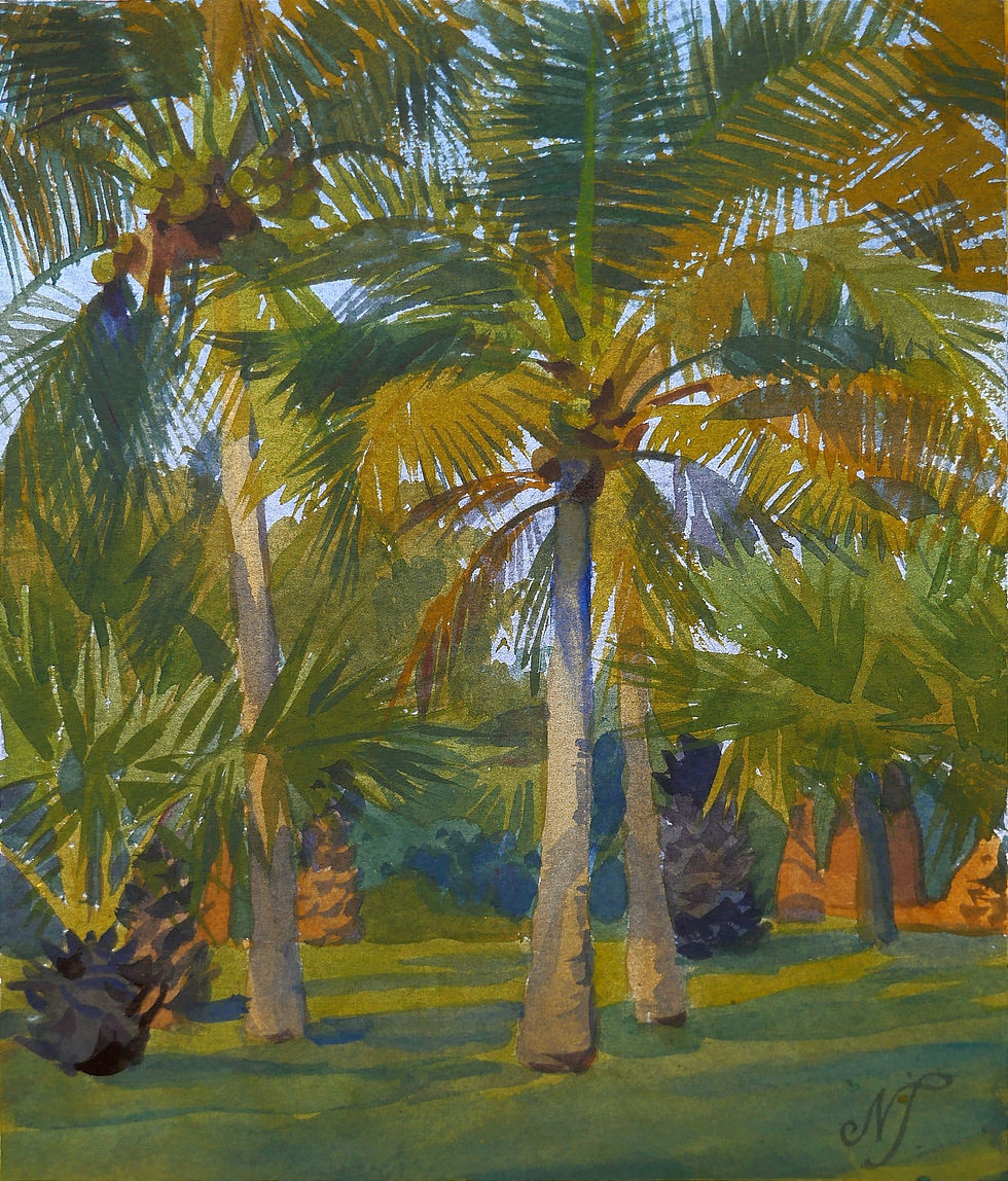 "Palm trees at sunset"