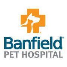 banfield-pet-hospital-squarelogo.png