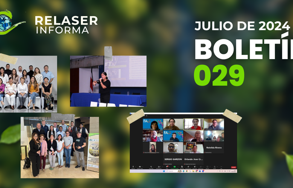 Banner boletín 029.png