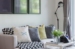 Cushions throws