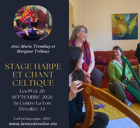 Stage harpe et chant celtique (1).png