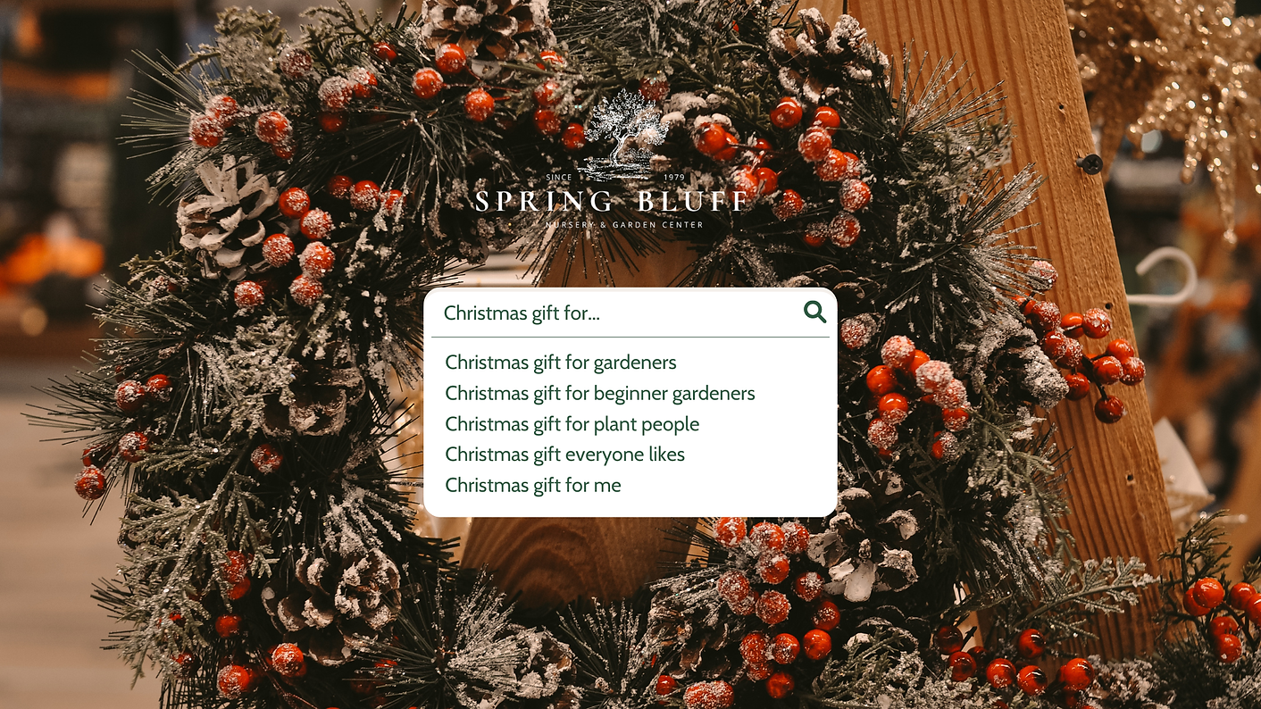 Black White Photo Collage Vision Board 2025 Desktop Wallpaper (2).png