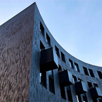 Brick + Co. cladding bricks