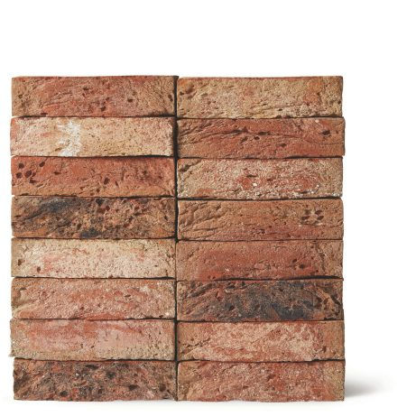 Thumbnail: Tacana (Hathaway Brindled)
