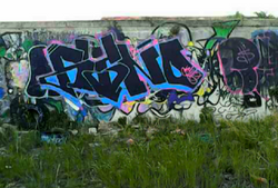 Murs de la FUB