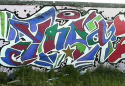 Murs de la FUB