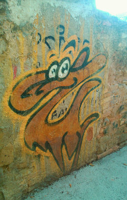 Carreró del C/ de Les Saleses