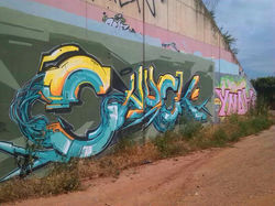 Camí Vell del Parc de l'Agulla