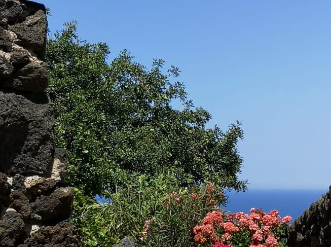 Dammuso Il Carrubo Egoista casa vacanze Pantelleria Sicilia