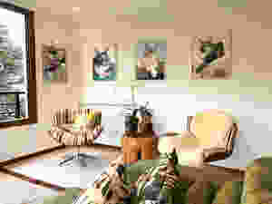 Composição de gatos do Vitor Senger