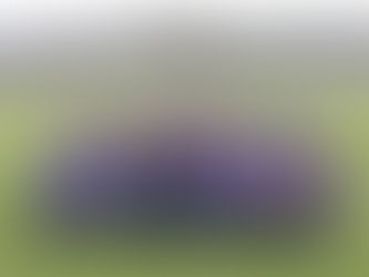 Banks Group celebrates second season as Durham Cricket’s principal partner