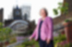 Jane Ruffer appointed CEO of The Auckland Project