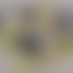 Multi-million pound extra care scheme gets the green light from planners