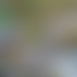 Ramside Hall harnesses solar power boost