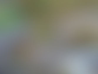 Ramside Hall harnesses solar power boost