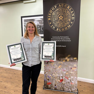 The Auckland Project’s gardens and grounds strike gold with a trio of awards