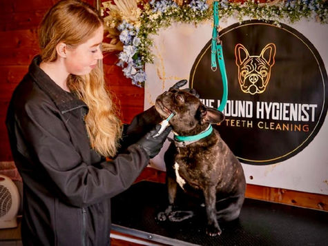 County Durham woman wins award for thriving pet salon