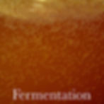 Fermentation