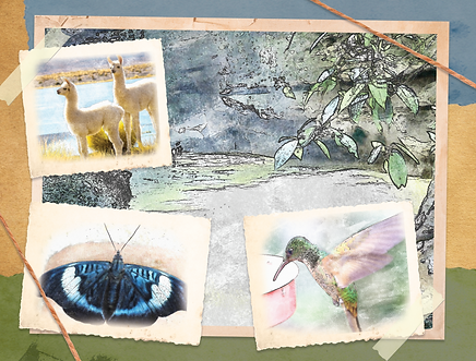 Screen Shot 2020-07-08 at 10.30.54 AM.pn