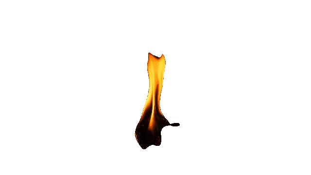 winged skull flamme