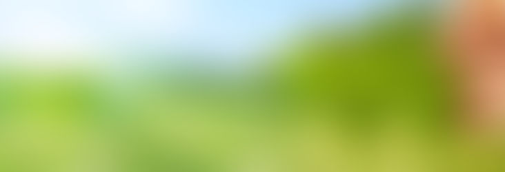 Green Eco-friendly cleaning in Milwaukee