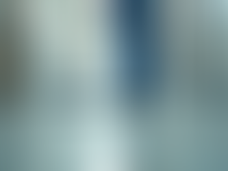 The Pros and Cons of Hiring Janitorial Services vs In-House Cleaning Staff