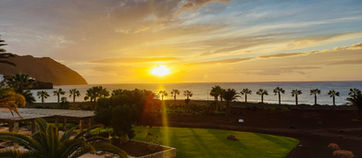 2021-02-21 11.05.27-1.jpg