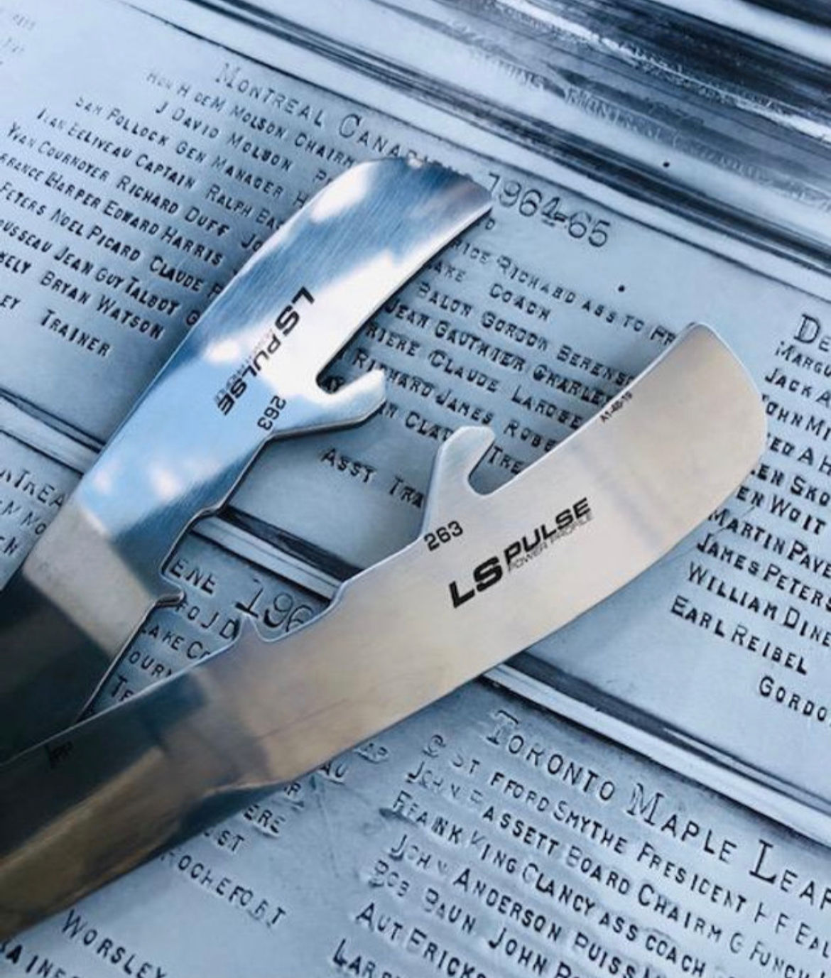 LS Pulse / Pr⭕️File ➕