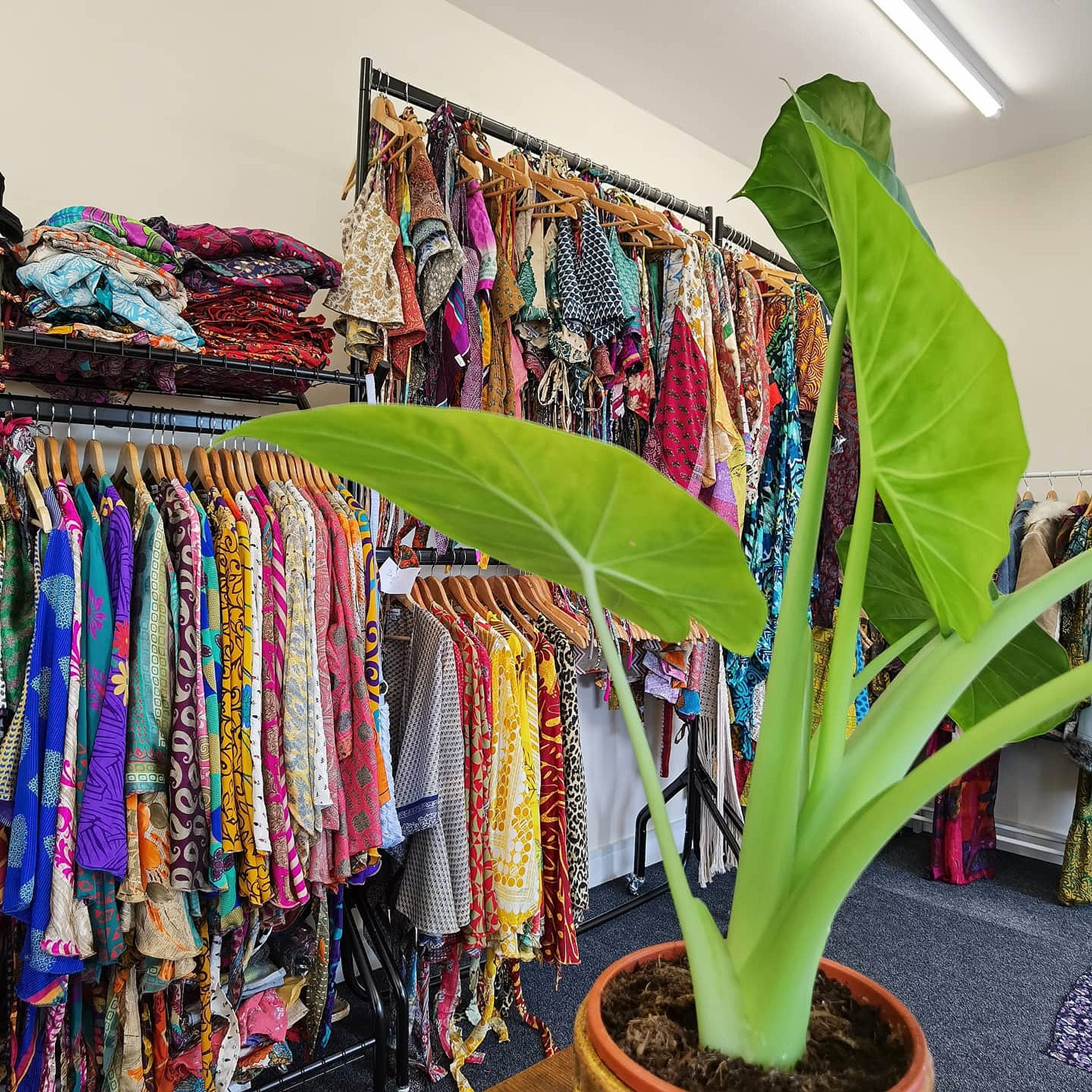 Ethical & Conscious Clothing Collection | Gold Hill Conscious