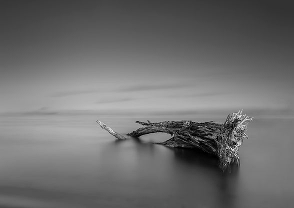 ETL016SEA(HiRes).jpg
