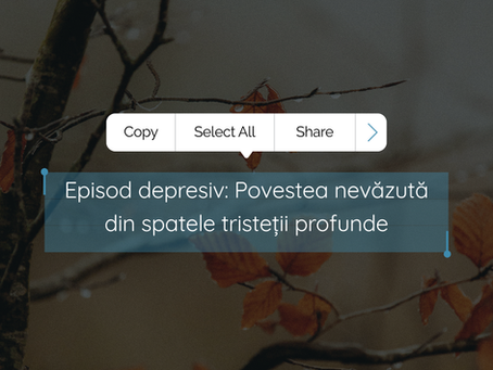 Frunze ruginii de toamnă pe o ramură în lumină difuză, simbolizând melancolia și introspecția unui episod depresiv.