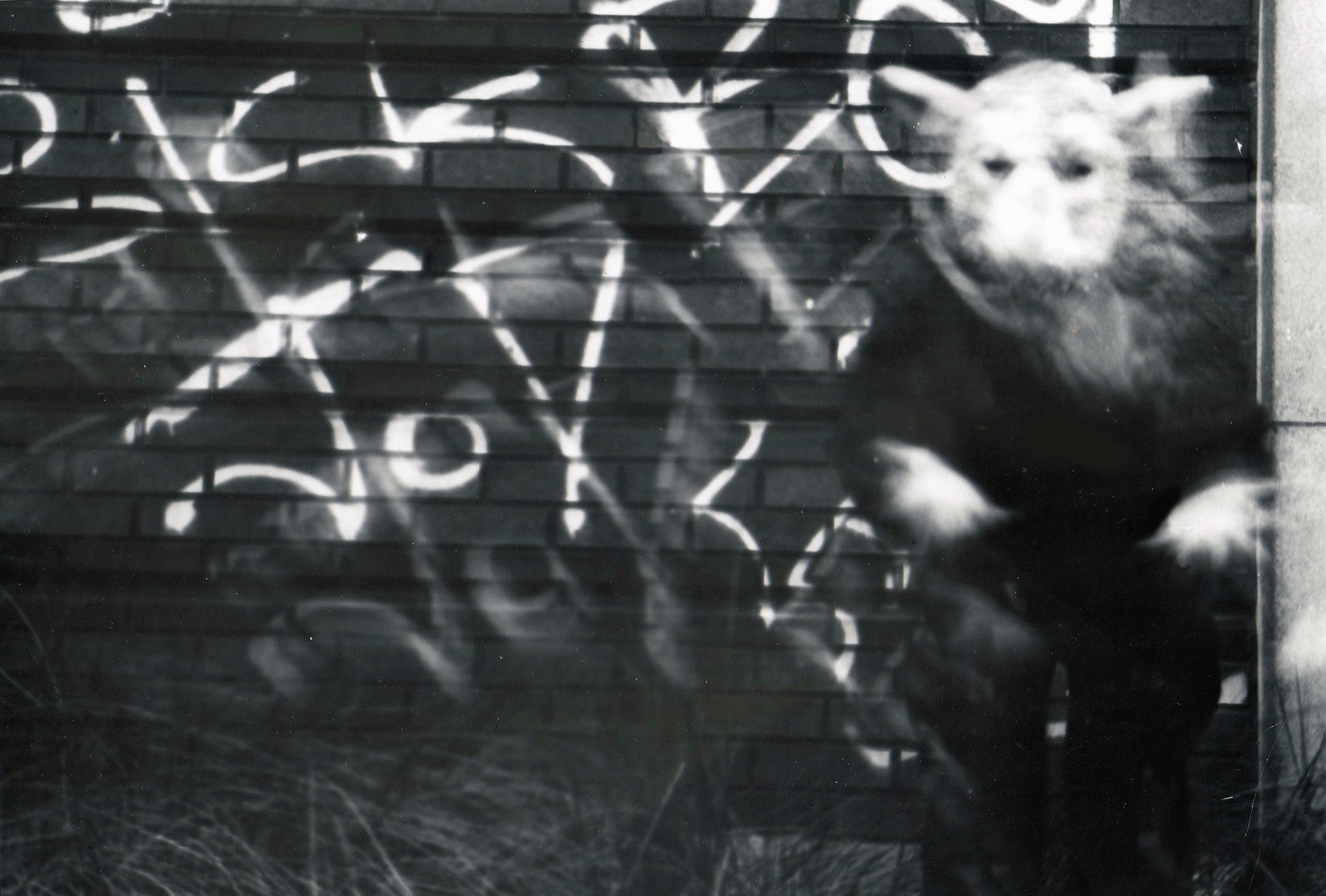 Büttel cover of album Joyless