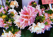 2018-09-29 09_06_57.046.JPG