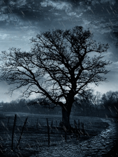 darktree_qXERv1ra.gif