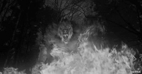 Werewolf-Gif-horror-movies-40515831-490-
