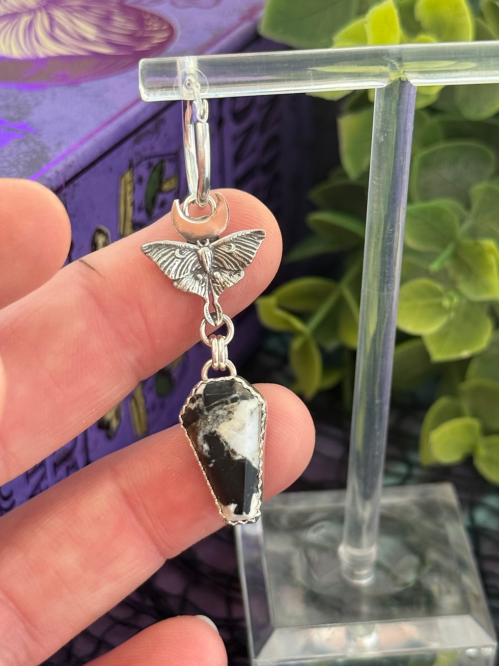 Thumbnail: Luna Moth & Coffin