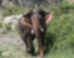 67271-01.jpg