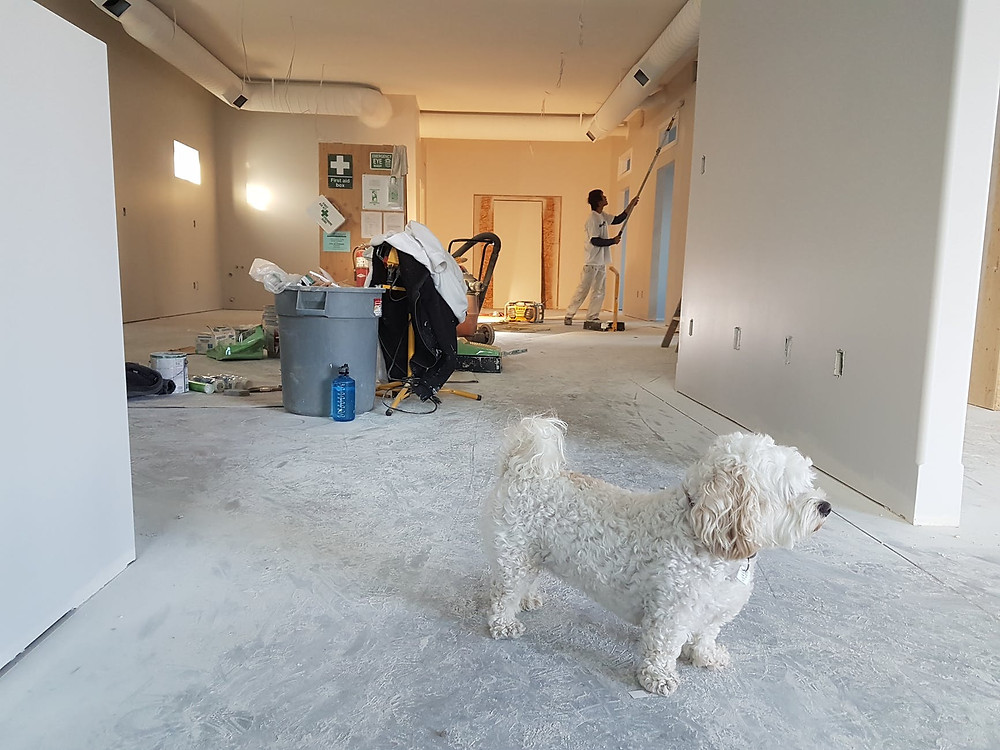 Canridge Construction Group Working on a home reno job