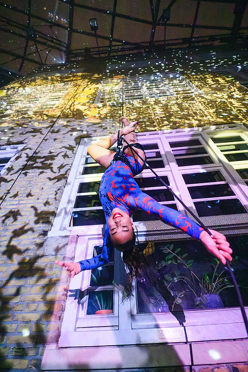 walldance the aerialettes sieraad amsterdam.jpg