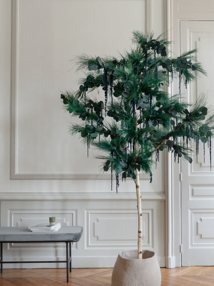 Maison Arbusta Arbre stabilise.jpg