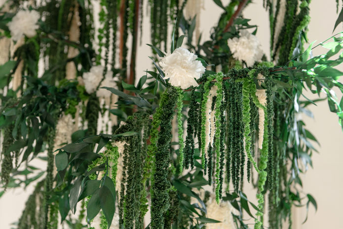 Maison Arbusta - Amaranthe verte