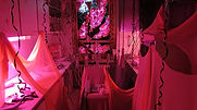 IMG_6328.jpeg