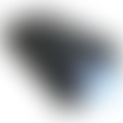 RHINO'S STUN PIRATES