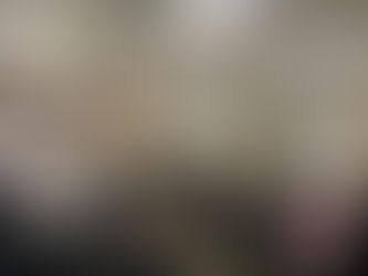 ACIC participa da Assembleia Inicial COREDE Hortênsias