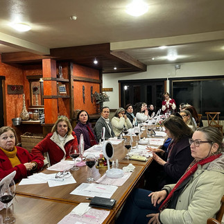 Núcleo de mulheres empreendedoras ACIC