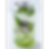 Cucumber mint