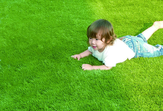 06967a_82d54fba05f146809aaf670c06e4b0dd~mv2.jpg