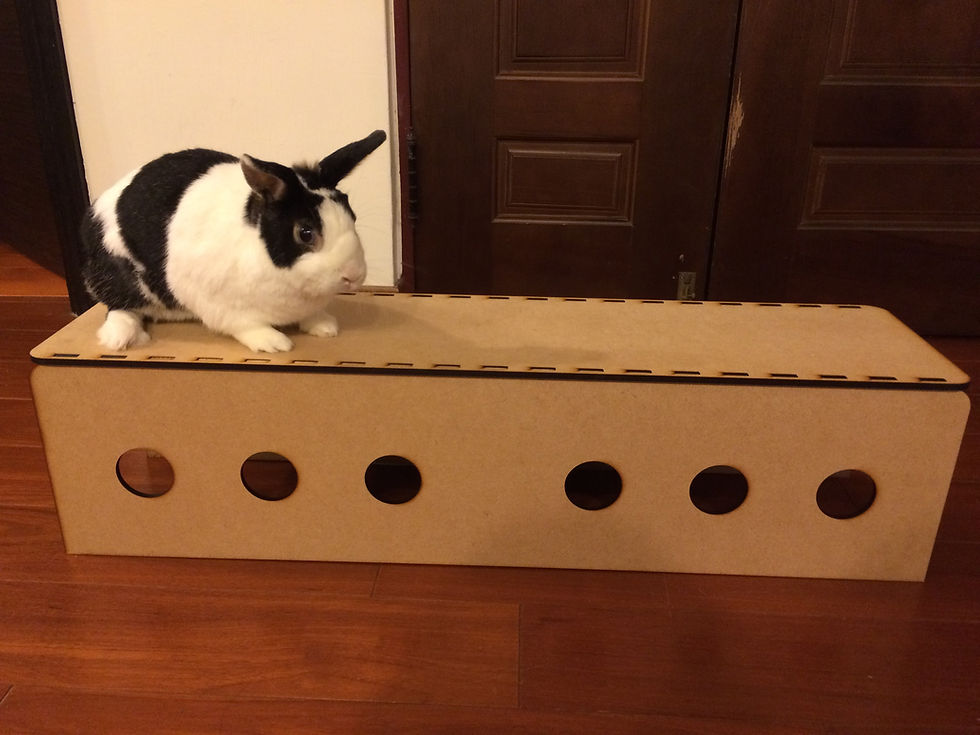 縮圖：長條隧道