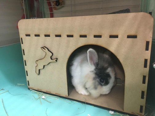 縮圖：加大迷你小窩